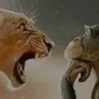 daun DJ voice changer