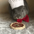 Bunny Pizza Girl Clear voice changer