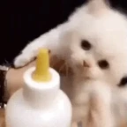 Milk voice changer