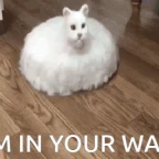 i am the wall voice changer