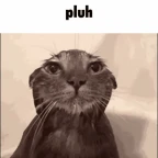 LESS ECHOEY HQ voice changer