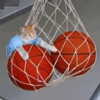 balls voice changer