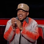 THE VOICE 1 voice changer