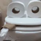Bathroom voice changer