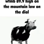 Low radiovoice? voice changer