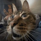 Hazmat Suit voice changer