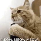 Testing voice changer