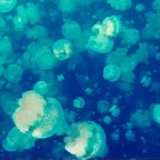 Underwater lower voice changer