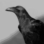 My Raven2 voice changer