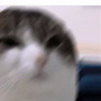 Male Voice voice changer