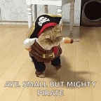 my Random pirate voice. voice changer