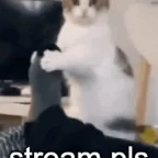 stream voice changer