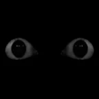 THE EYES (AReGect) voice changer