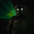 the yellow rabbit voice changer