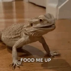 the lizrd until furhter notice voice changer