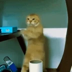 trash pitched voice voice changer