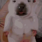 godly pibble voice changer