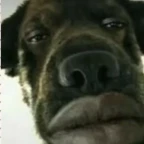 bler glitch voice changer