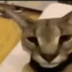 Hecker voice changer