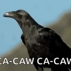 crow voice changer