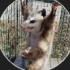 Ma nouvelle voix voice changer