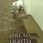 treaddeep voice changer