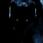 After Dark Wolf voice changer
