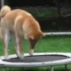 TestCase voice changer