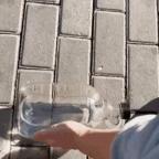 Reall Girl voice changer