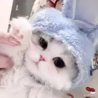 Singer/person voice changer