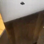 my first creation voice changer