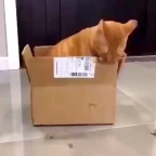 cardboard voice changer