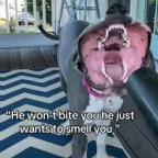 just low quality o voice changer