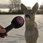 Clean Mic voice changer