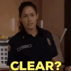 SIN 2 clear voice changer