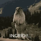 Ingrid voice changer