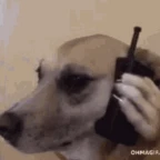 slaz voice changer