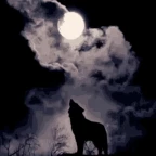 Bulong Wolf Form voice changer