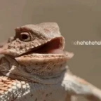 hwehwehwe voice changer