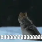 Athena voice changer