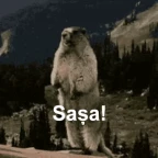 b1 battle droid voice changer