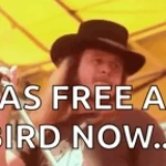THE RIFF FROM FREEBIRD - Sound
