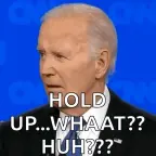 joe biden voice changer