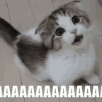 random not too deep voice voice changer