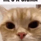 some guy who thinks he tuff voice changer