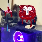 cynamon voice changer