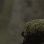 Moss voice changer