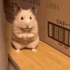 squekay voice changer