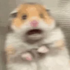 Nightmare meme voice changer