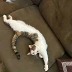 Funny demon voice voice changer